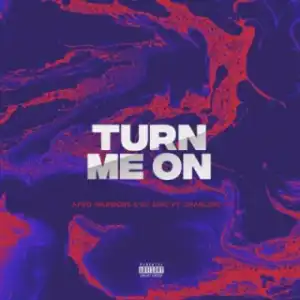 Afro Warriors X Dj Sing - Turn Me On (Vocal Mix) Ft. Charlene Lai